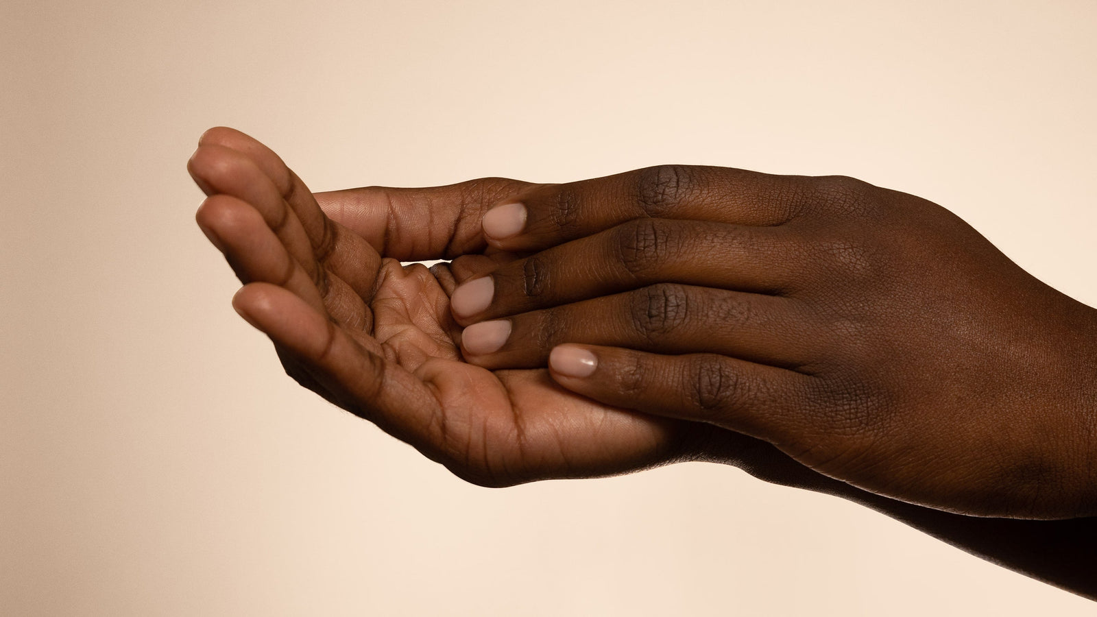 Day & Night Collection