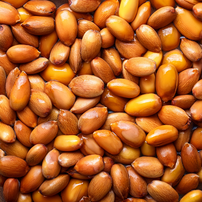 Fruit Seed Oils
