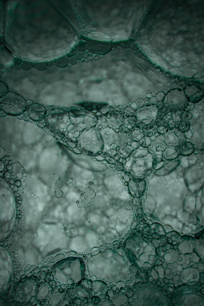 Plant-derived surfactants