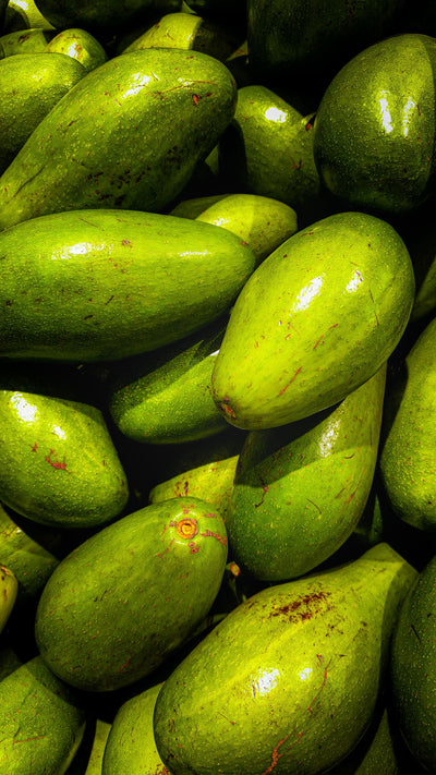 Avocado Oil